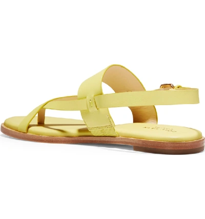 Shop Cole Haan Anica Sandal In Lemon Leather