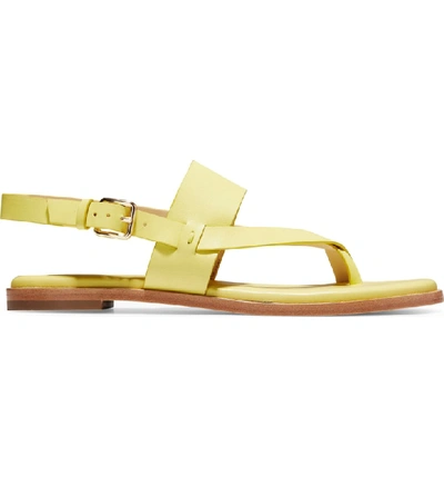 Shop Cole Haan Anica Sandal In Lemon Leather