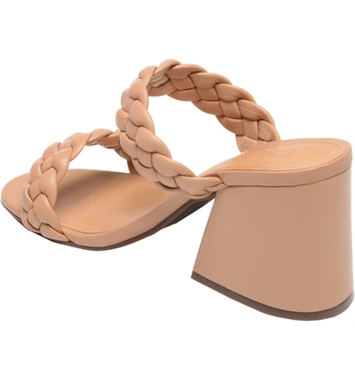 Shop Schutz Elida Block Heel Slide Sandal In Honey Beige