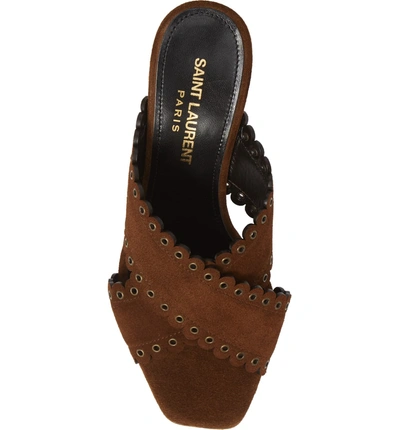 Shop Saint Laurent Loulou Grommet Sandal In Brown Suede