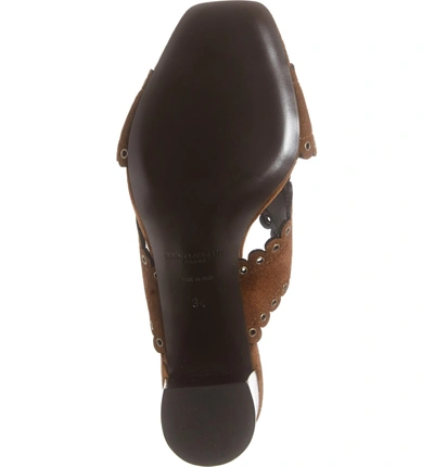 Shop Saint Laurent Loulou Grommet Sandal In Brown Suede