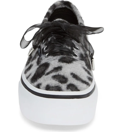 Shop Vans 'authentic' Platform Sneaker In Snow Leopard/ True White