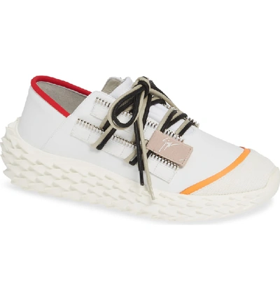 Shop Giuseppe Zanotti Scale Sole Sneaker In White