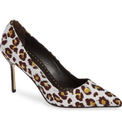 Shop Manolo Blahnik Pointy Toe Pump In Leopard