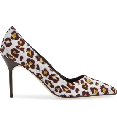 Shop Manolo Blahnik Pointy Toe Pump In Leopard