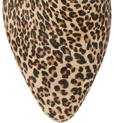 Shop Dolce Vita Coltyn Genuine Calf Hair Bootie In Leopard Calf Hair