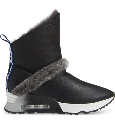 Shop Ash Laika Genuine Shearling Bootie In Black/ Black