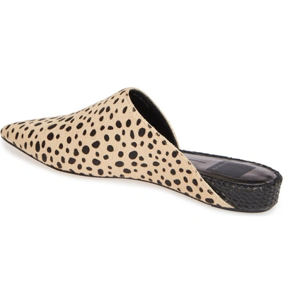 Shop Dolce Vita Ekko Asymmetrical Mule In Leopard Calf Hair