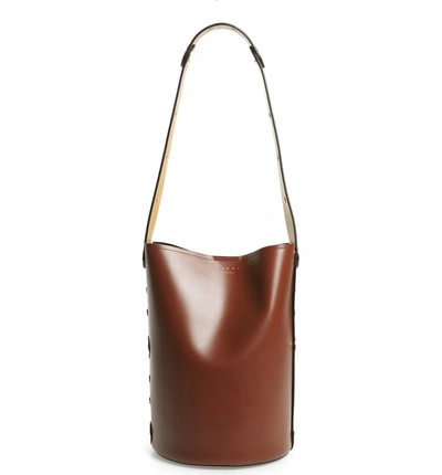 Shop Marni Punch Leather Bucket Bag In Cinnamon/ Black/ Honey