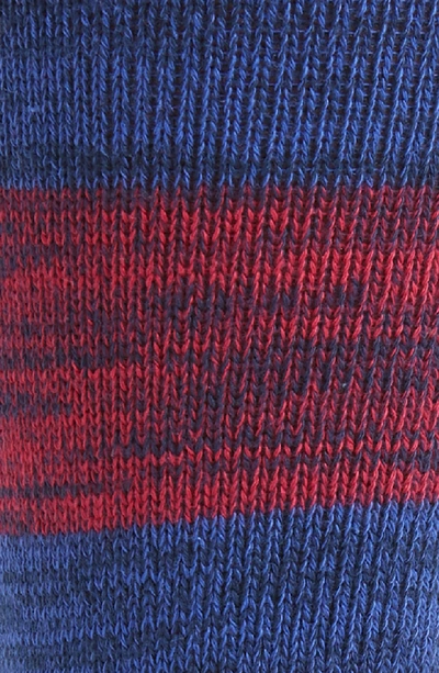 Shop Ted Baker Seere Stripe Socks In Bright Blue