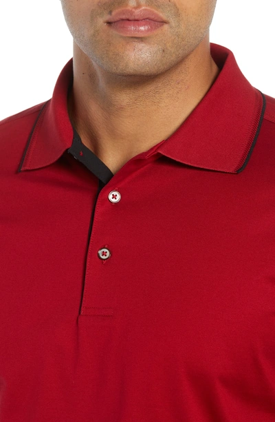 Shop Bobby Jones Solid Tipped Polo In Cranberry