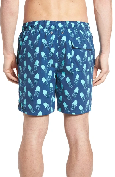 Shop Tom & Teddy Jellyfish Print Swim Trunks In Navy Turquoise