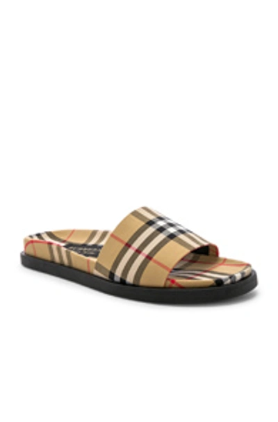 Shop Burberry Sandal In Antique Yellow