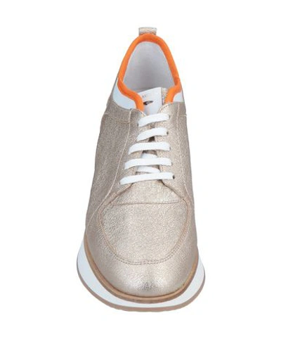 Shop Alberto Guardiani Sneakers In Gold