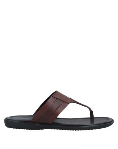 Shop Doucal's Toe Strap Sandals In Cocoa