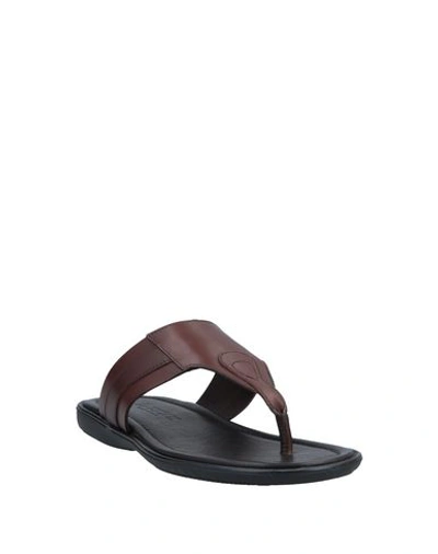 Shop Doucal's Toe Strap Sandals In Cocoa