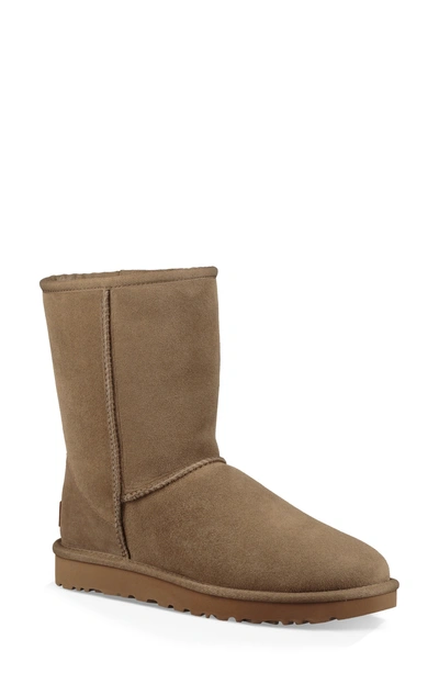 Shop Ugg 'classic Ii' Genuine Shearling Lined Short Boot In Antelope