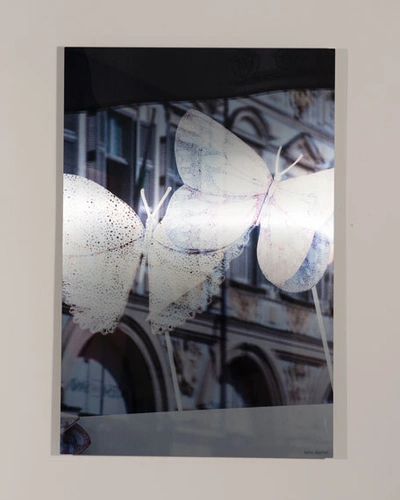 Rfa Fine Art Turin Hermes Ii Print Photography Art By Andrea Hillebrand In Multi