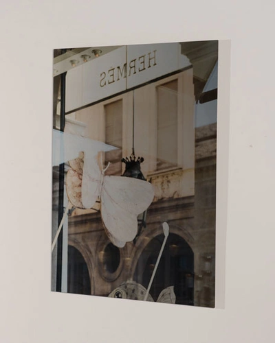 Rfa Fine Art Turin Hermes I Print Photography Art By Andrea Hillebrand In Multi