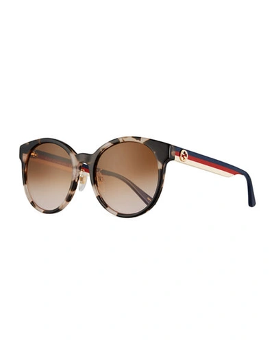 Shop Gucci Round Web-arms Acetate Sunglasses In Havana/bluredwht