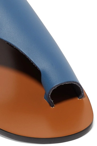 Shop Atp Atelier Rosa Cutout Leather Sandals In Blue