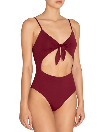 Shop Eberjey Alexia Tie-front Cutout One-piece Swimsuit In Rhododendron