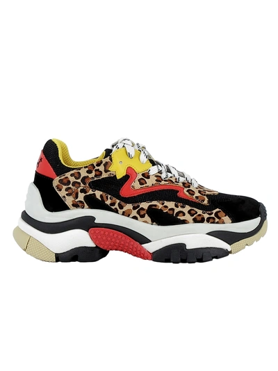 Shop Ash Leopard Leather Sneakers In Multicolor