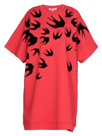 Shop Mcq By Alexander Mcqueen Cotton Dress In Cadillac Red