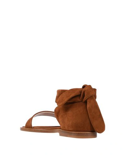 Shop Andrea Gomez Sandals In Brown