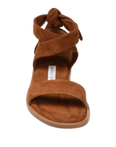 Shop Andrea Gomez Sandals In Brown