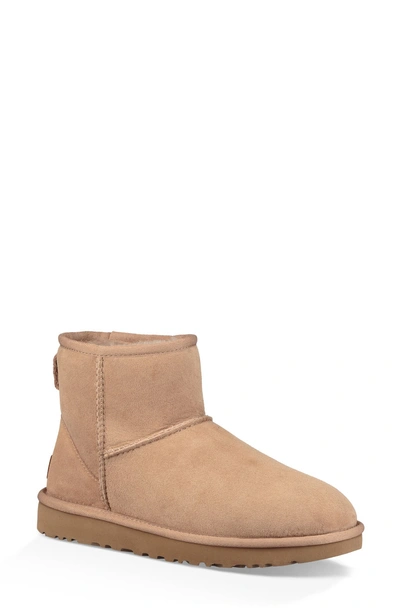 Shop Ugg 'classic Mini Ii' Genuine Shearling Lined Boot In Fawn Suede