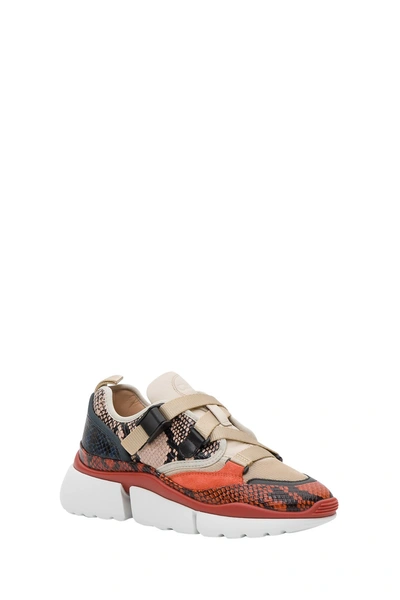 Shop Chloé Rony Python Print Trainer In Multicolor