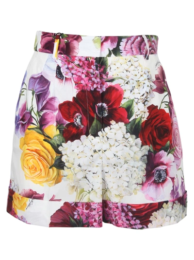 Shop Dolce & Gabbana Floral Print Shorts In Basic