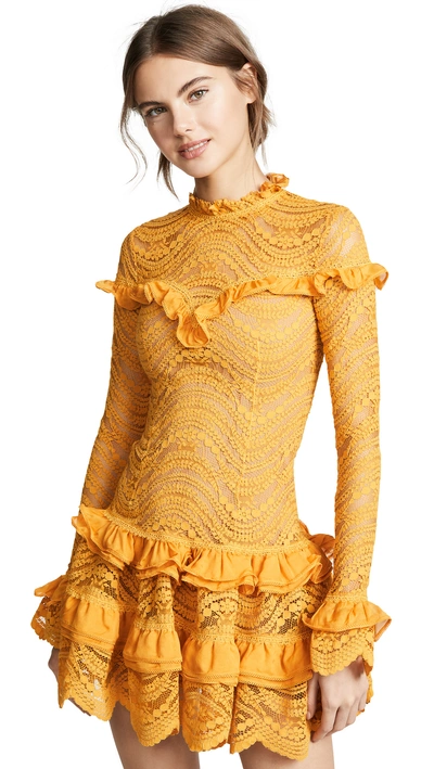Shop Jonathan Simkhai Chiffon Lace Ruffle Dress In Amber