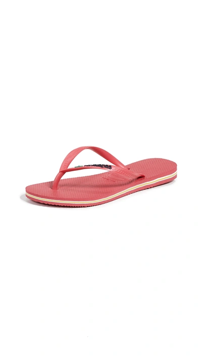 Shop Havaianas Slim Brazil Flip Flops In Flamingo