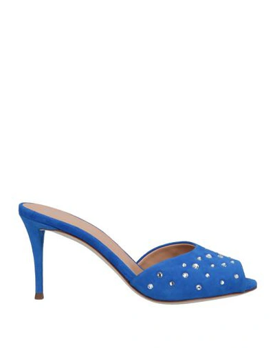 Shop Giuseppe Zanotti Sandals In Bright Blue