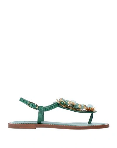 Shop Dolce & Gabbana Woman Toe Strap Sandals Emerald Green Size 5 Calfskin