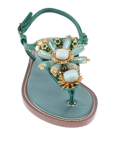 Shop Dolce & Gabbana Woman Toe Strap Sandals Emerald Green Size 5 Calfskin
