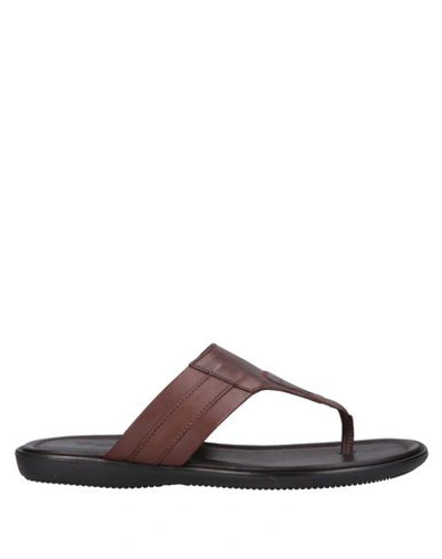 Shop Doucal's Toe Strap Sandals In Brown