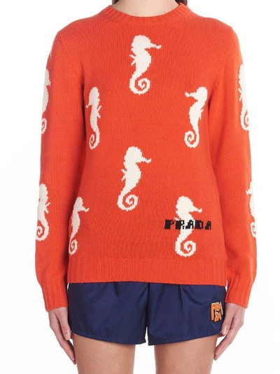 Shop Prada Seahorse Knit Sweater In Orange