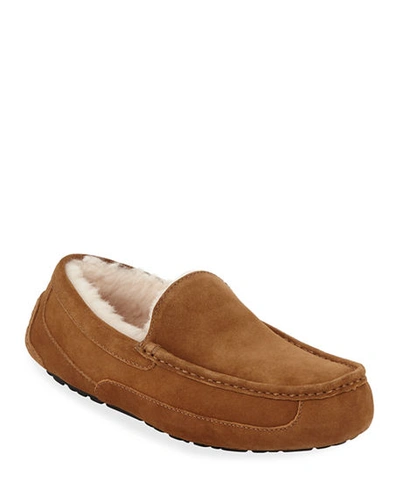 Shop Ugg Men's Ascot Suede Slippers In Beige