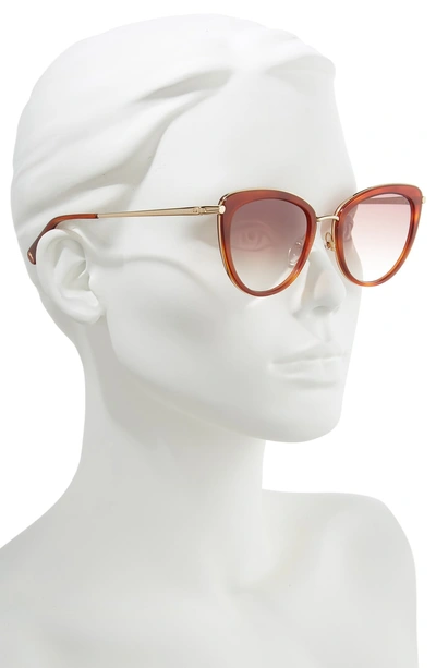 Shop Longchamp Roseau 54mm Cat Eye Sunglasses - Blonde Havana