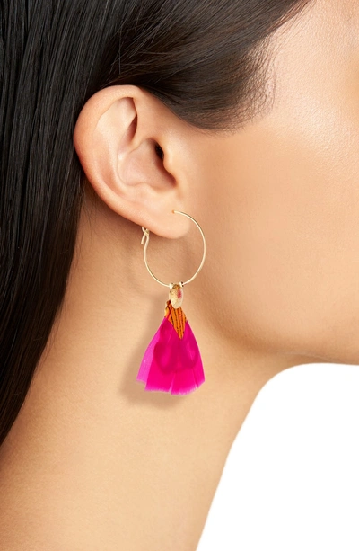Shop Gas Bijoux Bermude Feather Hoop Earrings In Pink