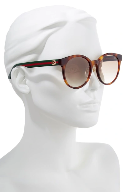 Shop Gucci 55mm Round Sunglasses In Havana/ Multi/ Brown Gradient