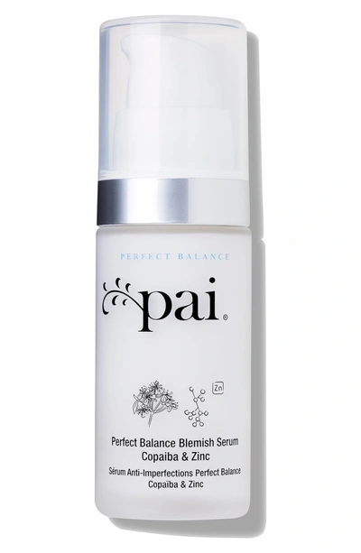 Shop Pai Ba & Zinc Perfect Balance Blemish Serum