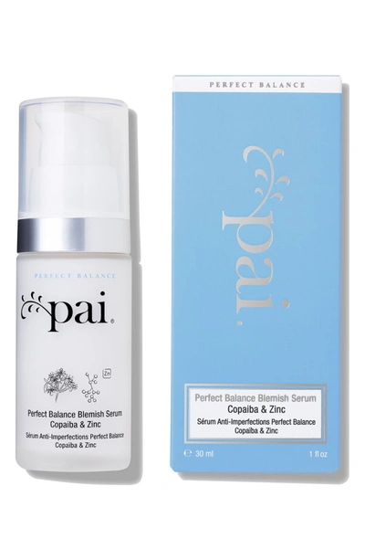 Shop Pai Ba & Zinc Perfect Balance Blemish Serum