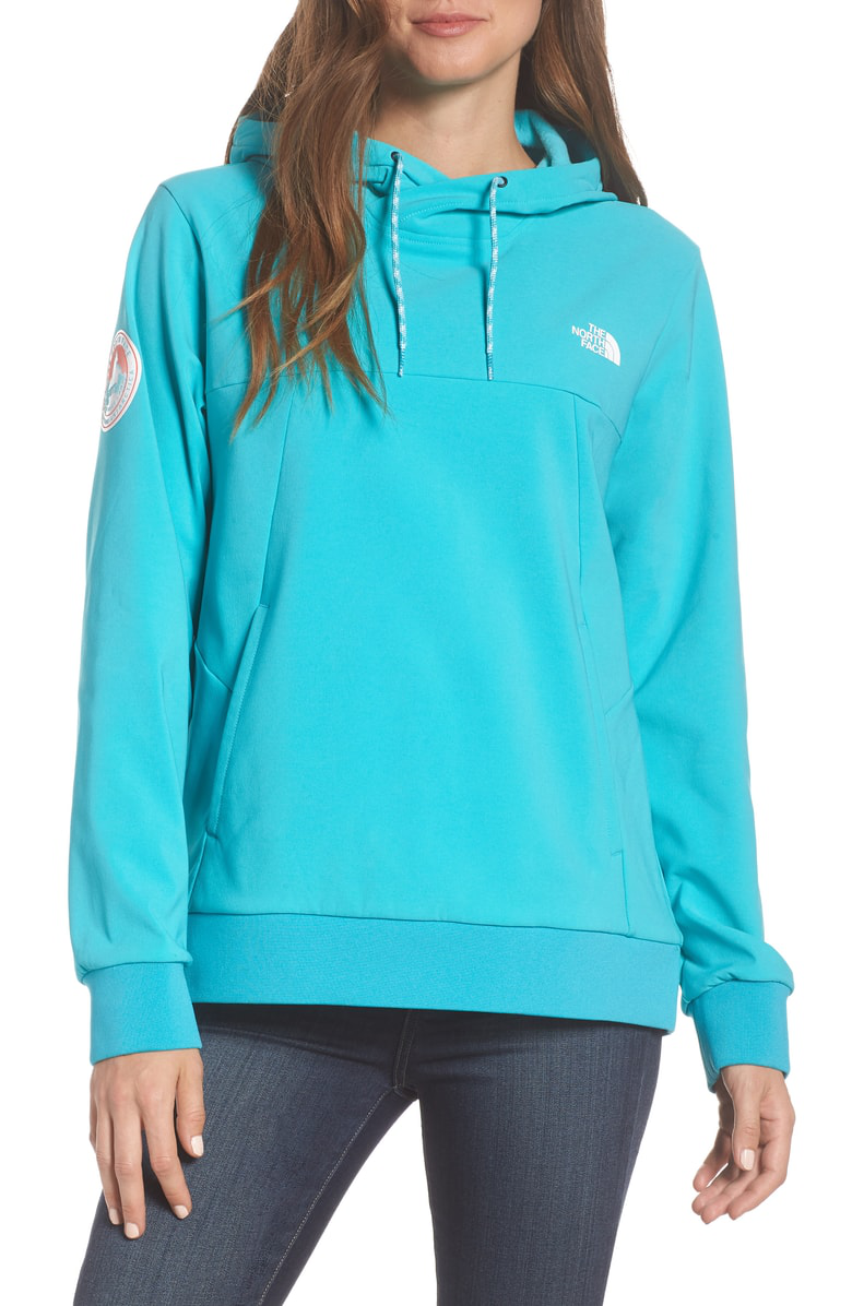 north face tekno fresh hoodie