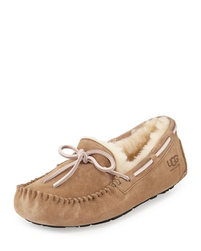 Shop Ugg Dakota Wool-lined Tie-slipper In Brown