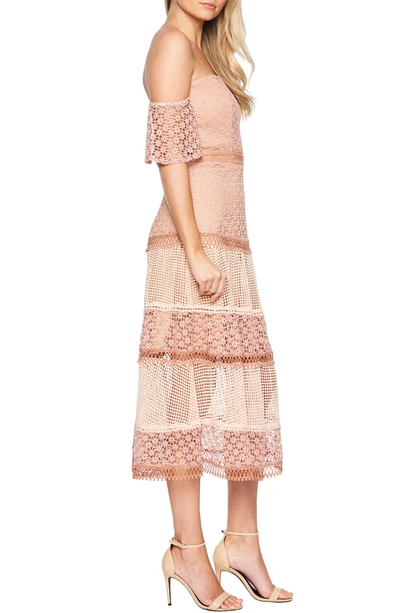 Shop Bardot Kristen Off The Shoulder Lace Midi Dress In Dusty Rose