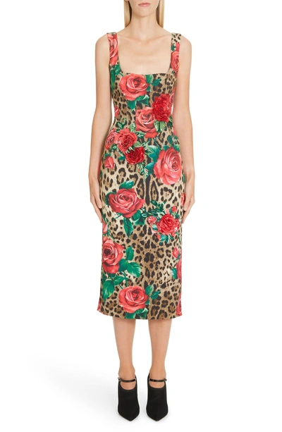 Shop Dolce & Gabbana Embellished Rose & Leopard Print Cady Pencil Dress In Hkirs Rose Leo